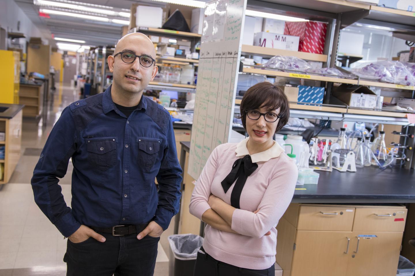 ASU Professors Samira Kiani and Mo Ebrahimkhani