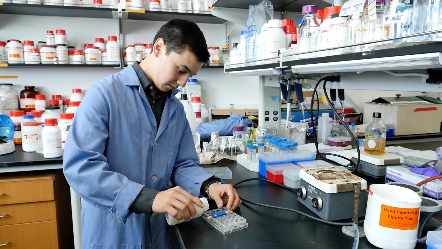 Modifying Baker's Yeast for Lowcost Detectio EurekAlert!