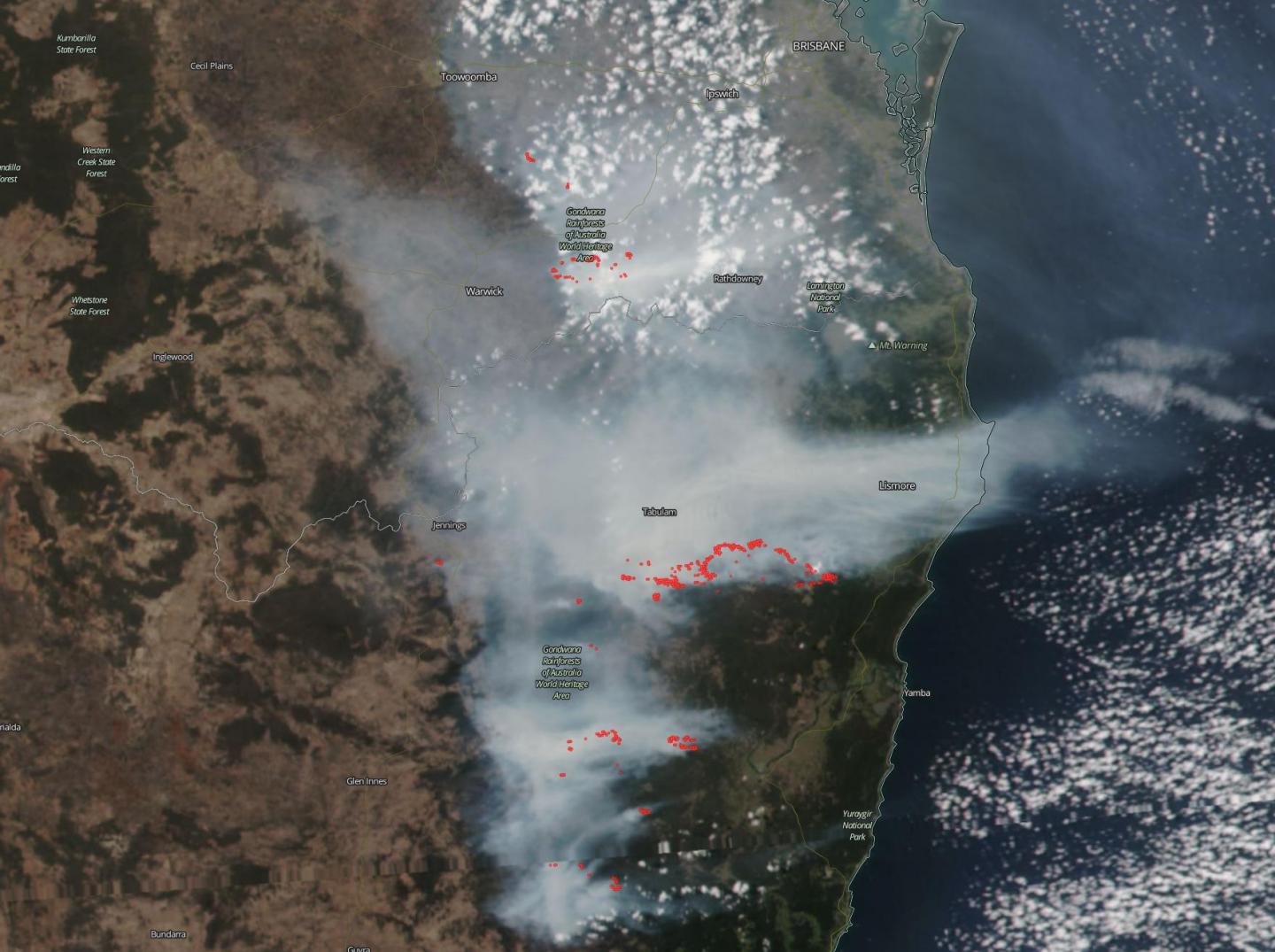 Smoke and Fires in Australia's Lamington National Park, Gondwana Rainforests