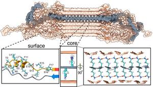 The structure of Huntington's fibrils