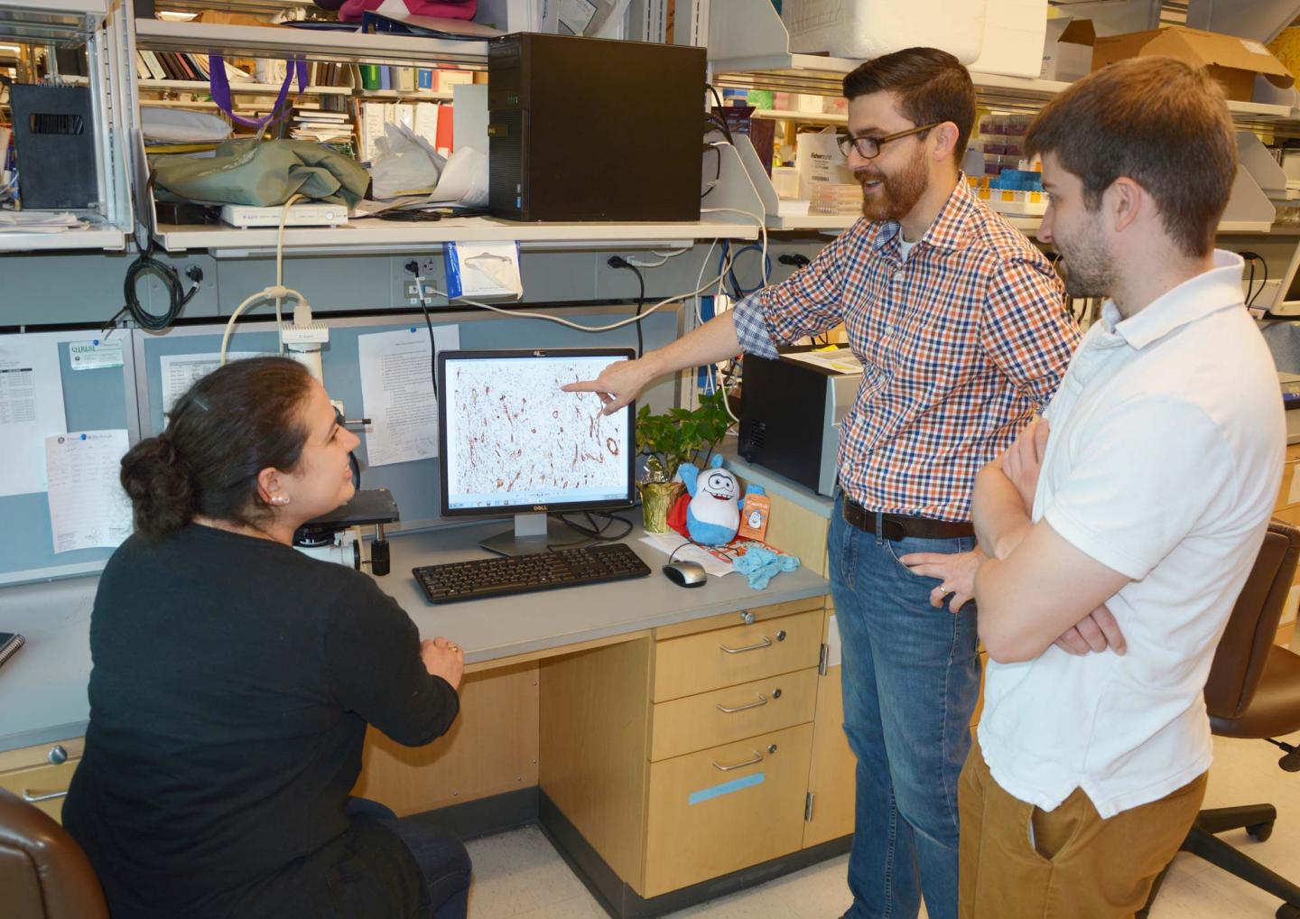 Working the (immune) system EurekAlert!