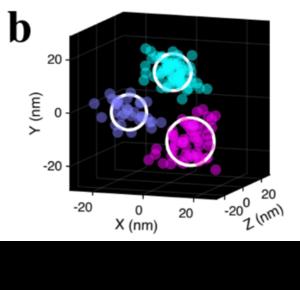 PIEZO1 protein (2)