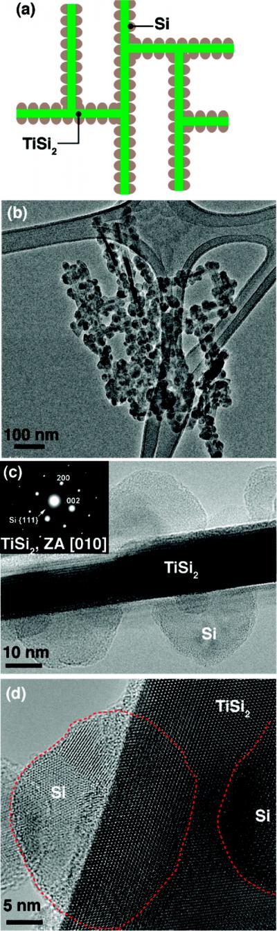 Nanonet Component for Lithium-ion Storage