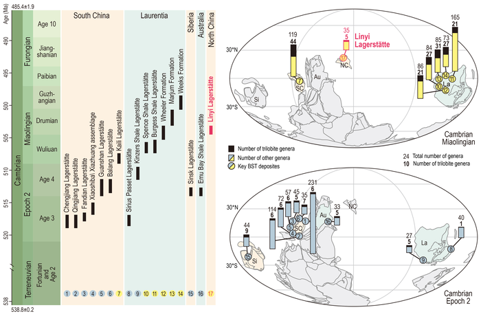 Spatial and temporal distribution and taxonomic diversity of 16 major Cambrian lagerstätten, and the position of the Linyi Lagerstätte