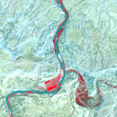 Satellite View, Before Tamarisk Defoliation