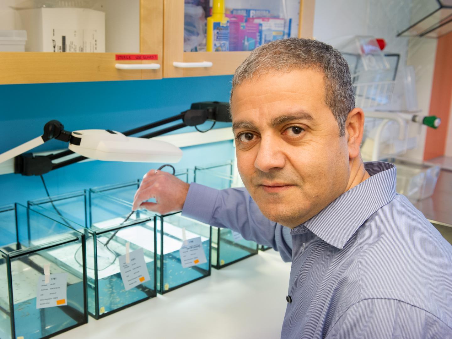 Abdel El Manira, Karolinska Institutet