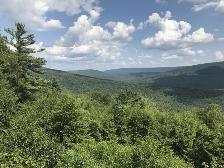 Appalachian View