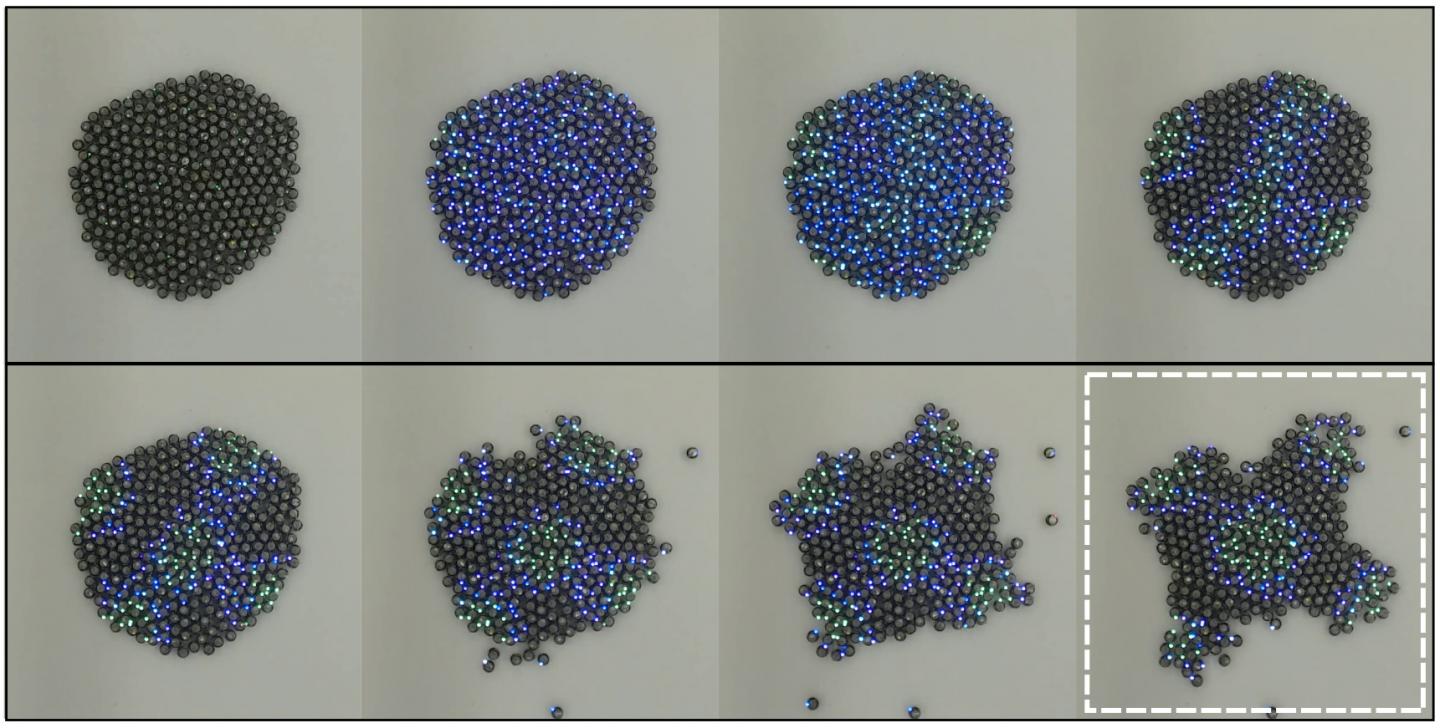 Building a Robotic Swarm That Is Greater than the Sum of Its Parts (2 of 4)