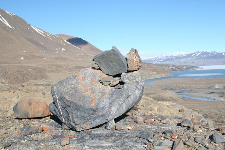 Lower Silurian rocks of the Merqujo?q Formation, Citronens Fjord, Peary Land, North Greenland