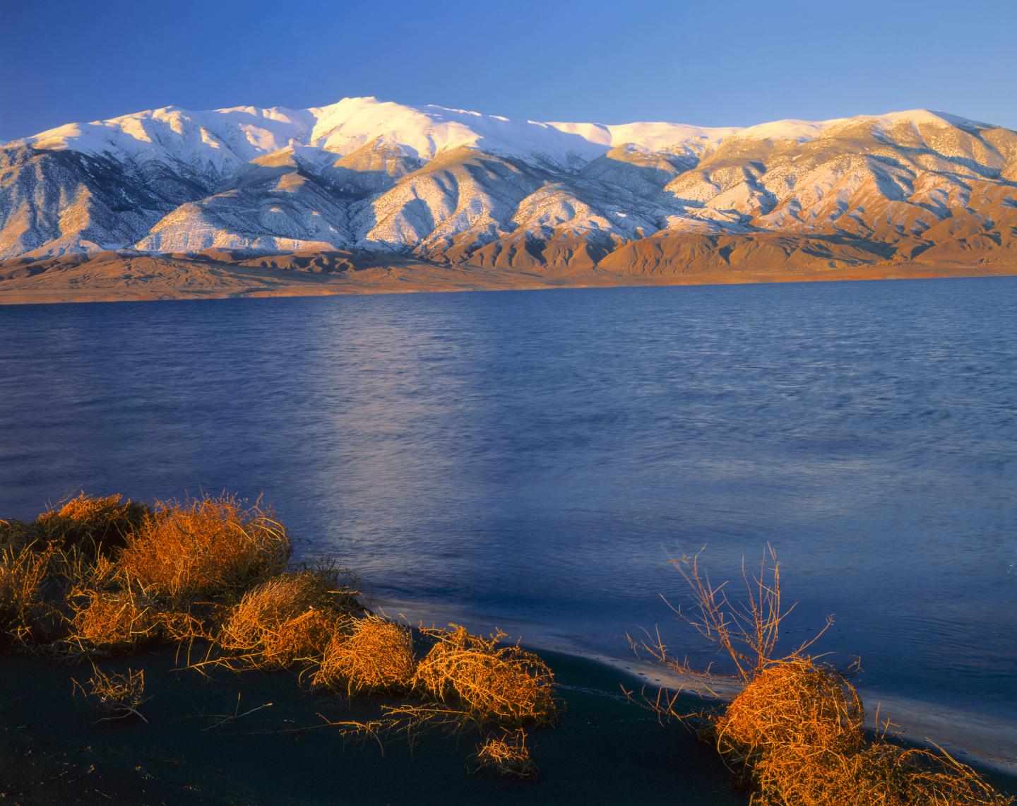 Walker Lake, Western Nevada