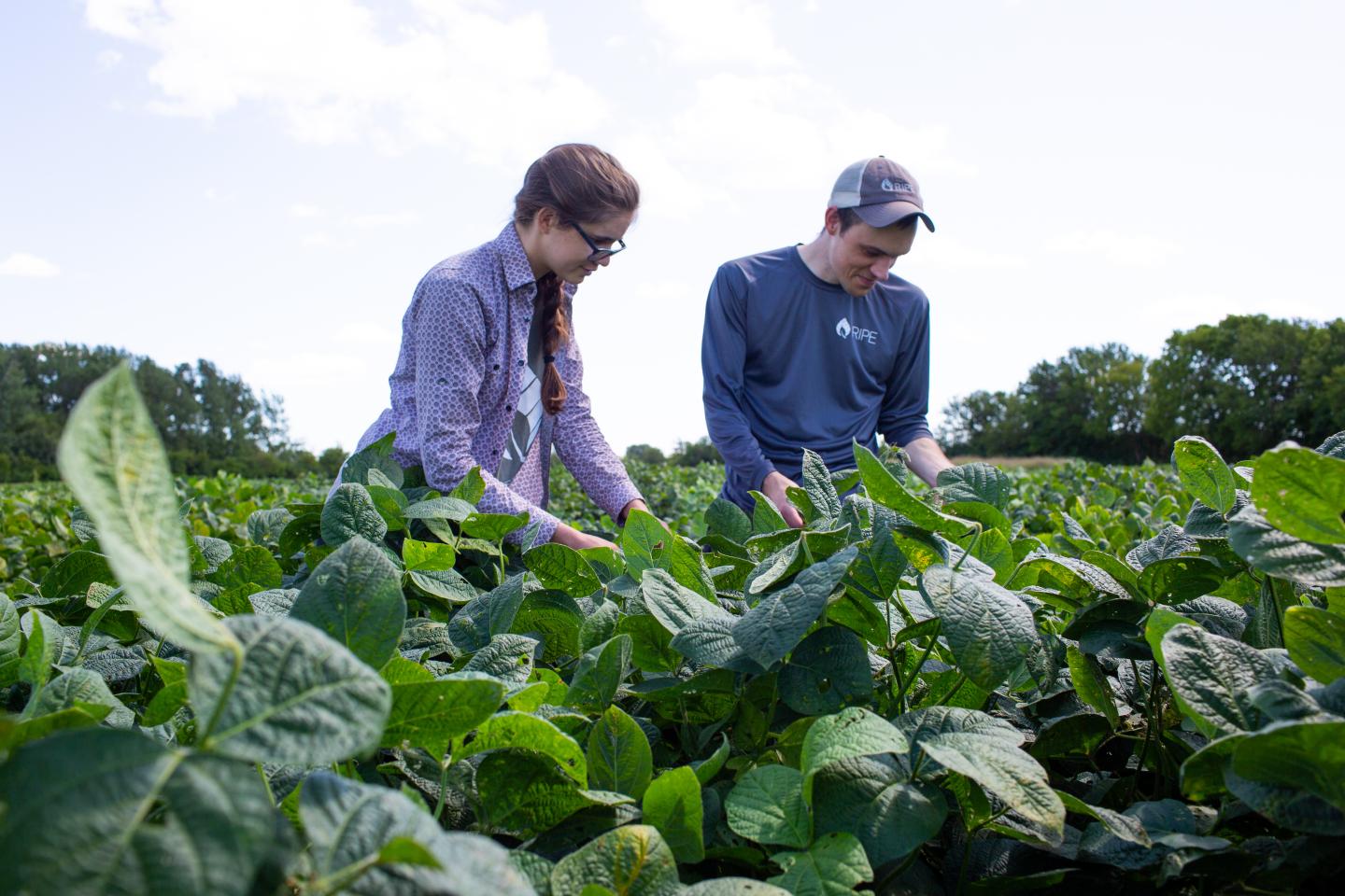 Researchers Collecting Data