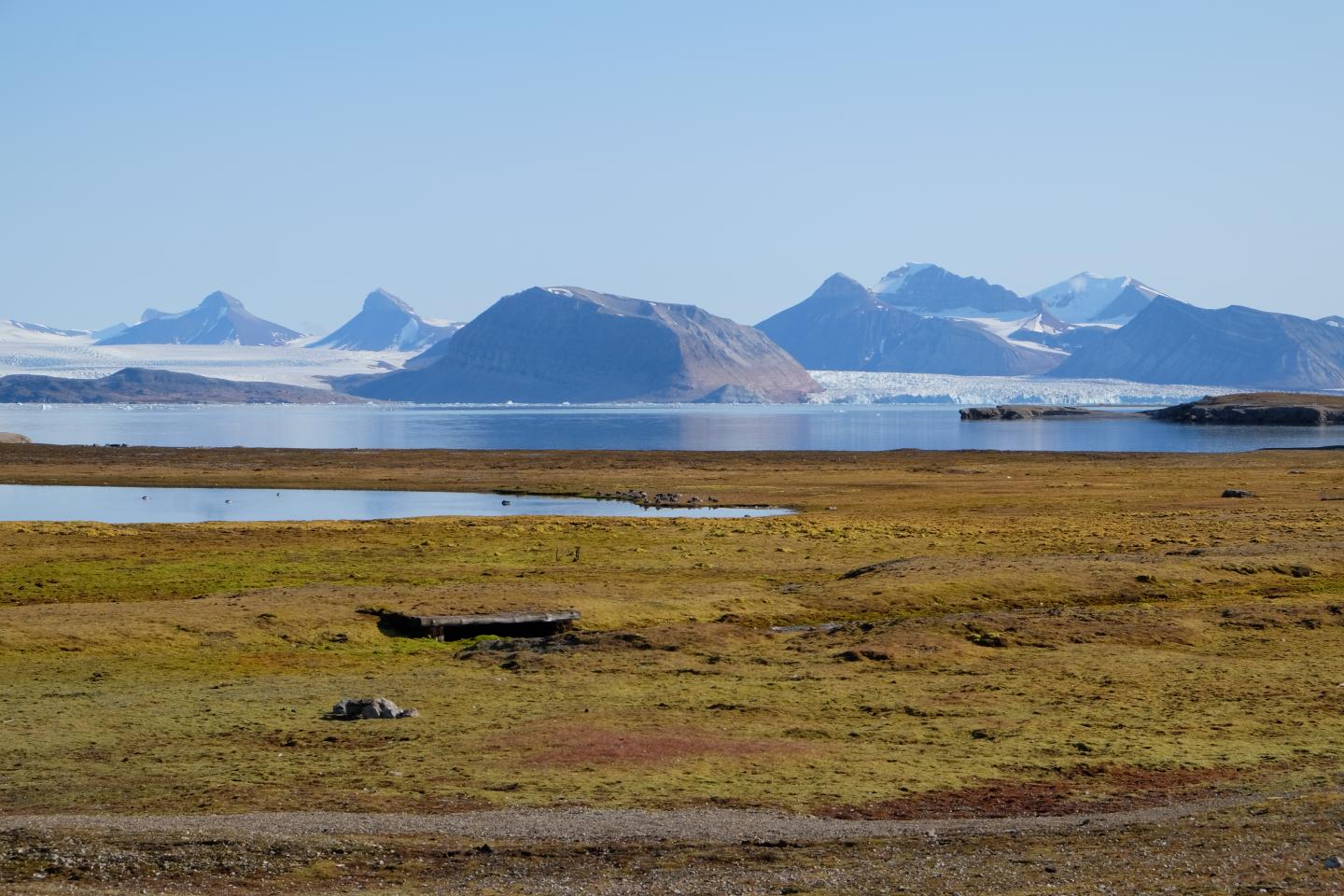 Arctic peatland