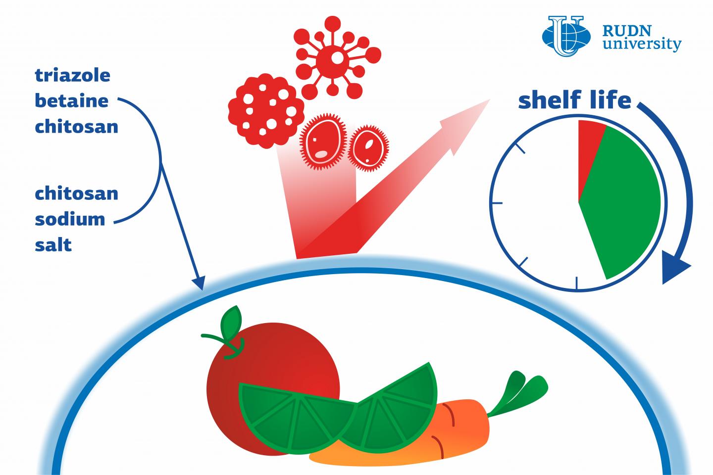 A Team of Chemists from RUDN University Developed Biodegradable Antibacterial Film for Storing Food