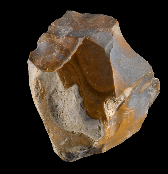 Prehistoric human vertebra discovered in the Jordan Valley tells the story of prehistoric migration from Africa