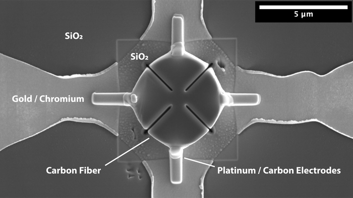 Slice of carbon fiber