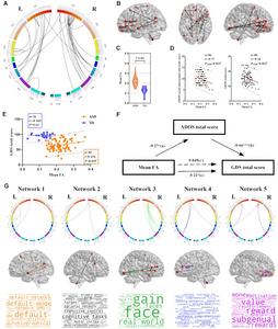 Increased FA connections and networks in ASD compared to TD children.