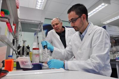 Dr Gomez-Nicola, University of Southampton