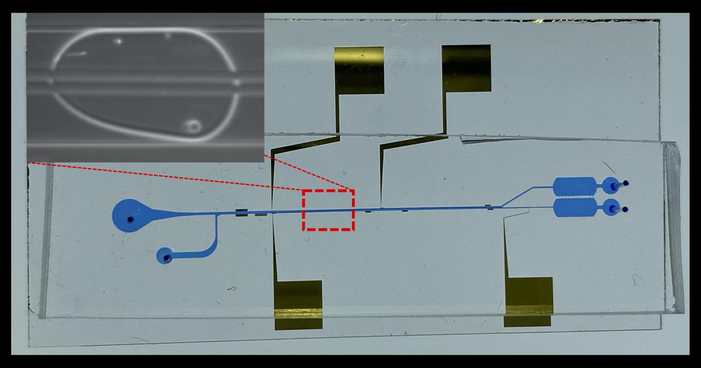 MicrofluidicChipWithElectrodes