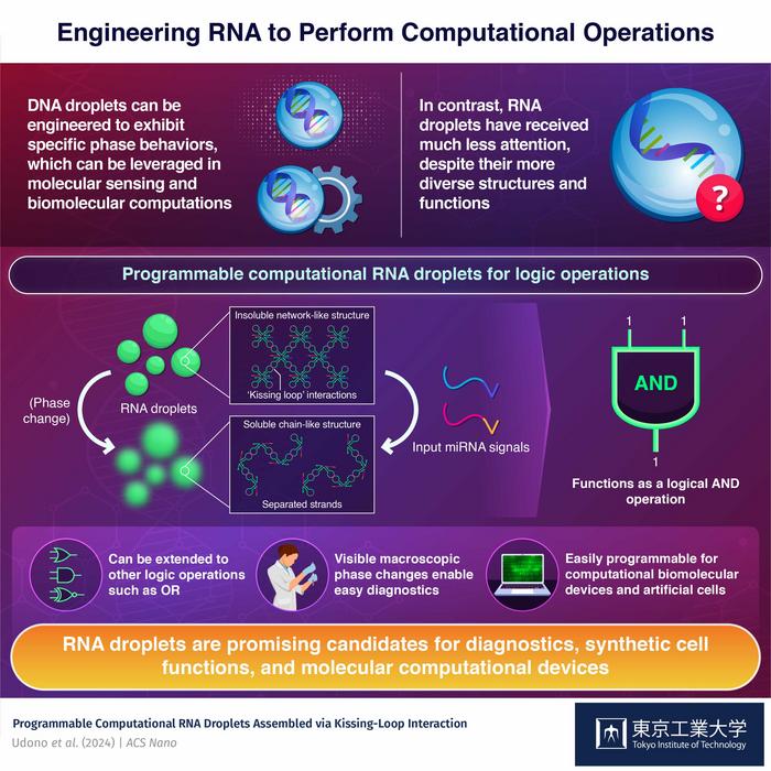 Engineering RNA to perform computational operations