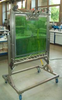 Newly Developed Plate Reactor for An Optimum Light Management in the Cultivation of Microalgae