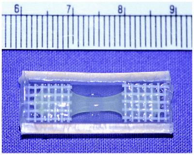 Electrically Conducting Implants for the Heart
