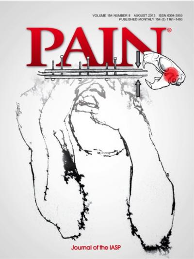 <i>PAIN</i>