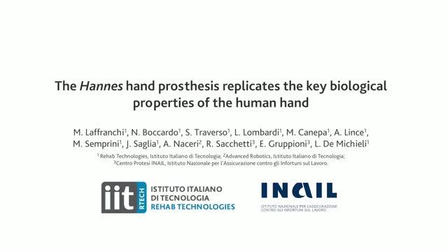 The Biomimetic Hand Prosthesis Hannes Uniquely Similar to a Human Hand
