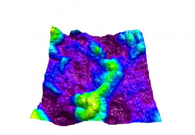 Close-Up View of Human Tissues