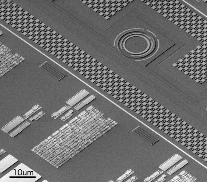 FIG2 Three-dimensional Electron Microscope Image