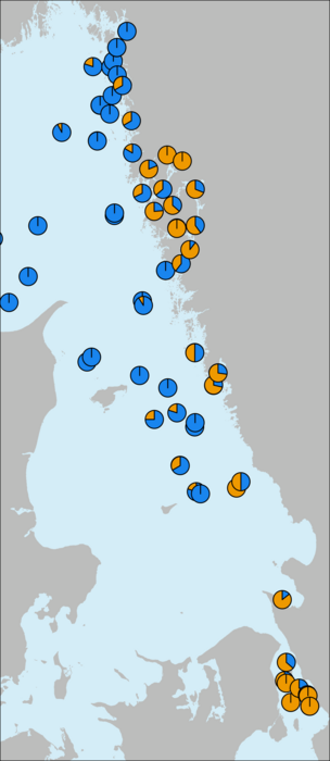 Map over test fishing results