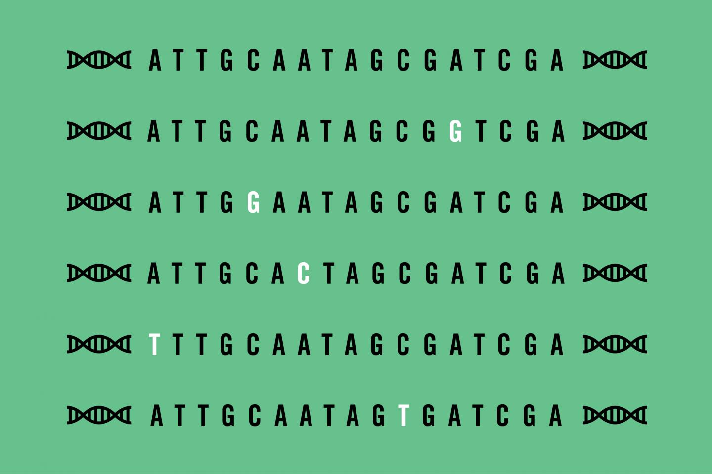 New Technique to Create Sets of DNA Sequences