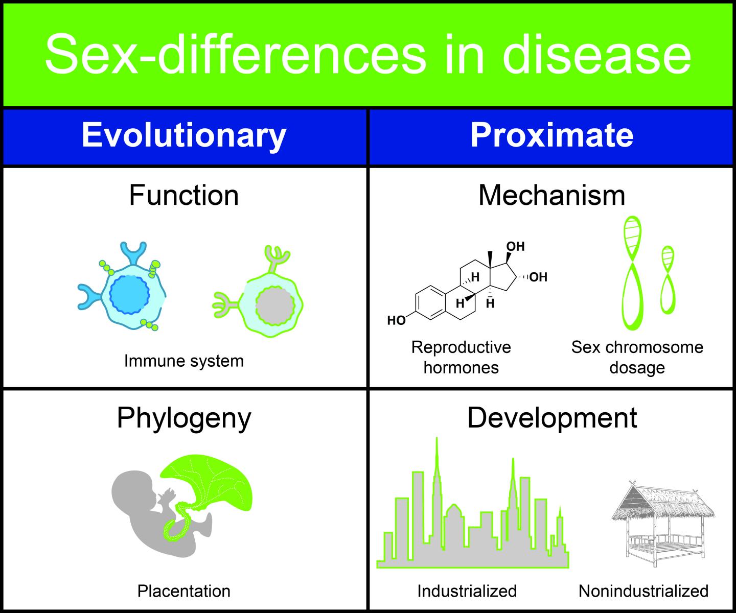 Sex Differences in Disease