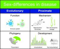 Sex Differences in Disease