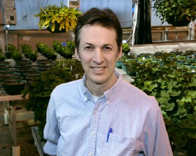 Stan Harpole, Iowa State University