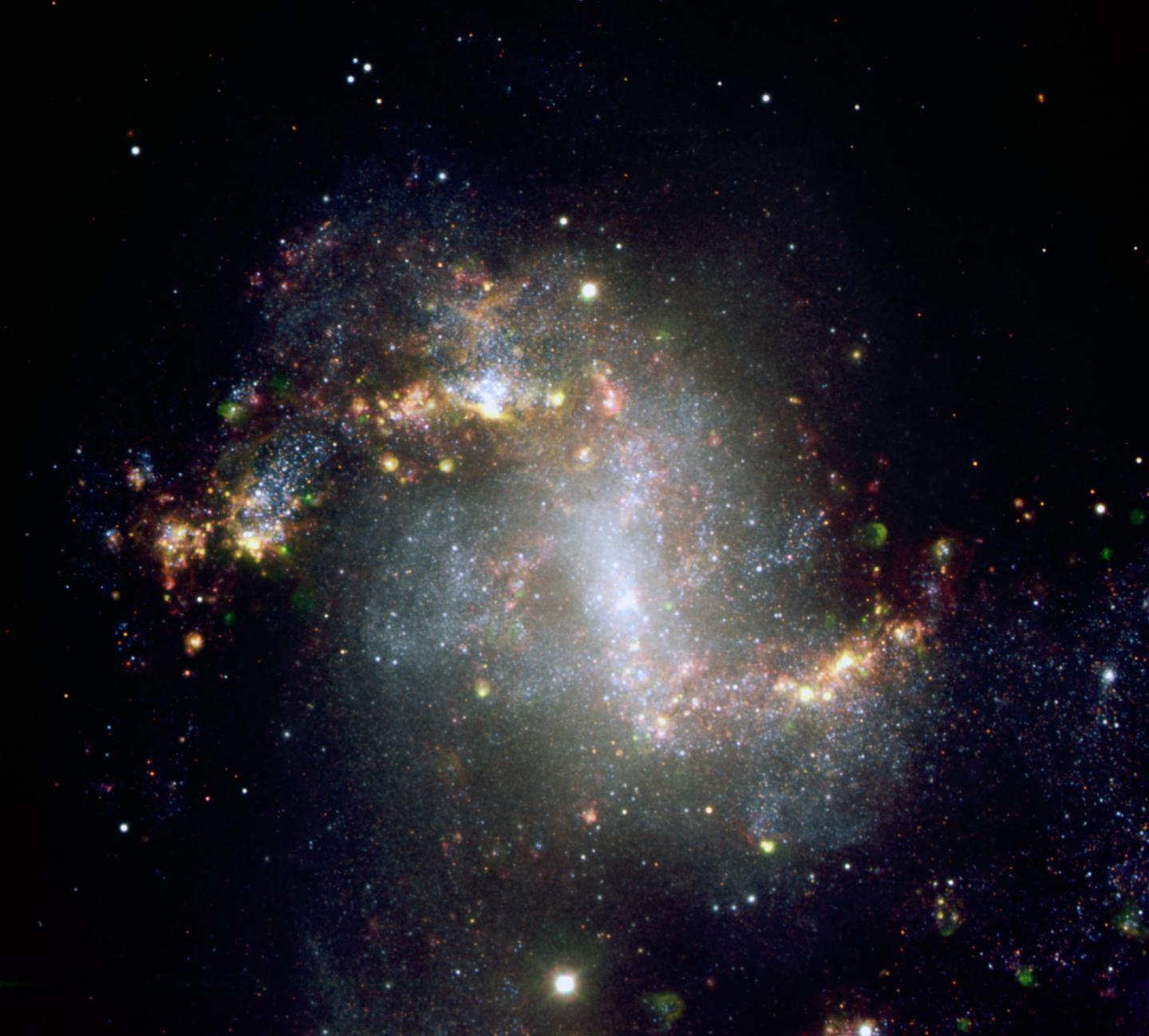 NGC1313
