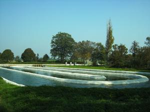 Cultivation of cyanobacteria in a raceway pond