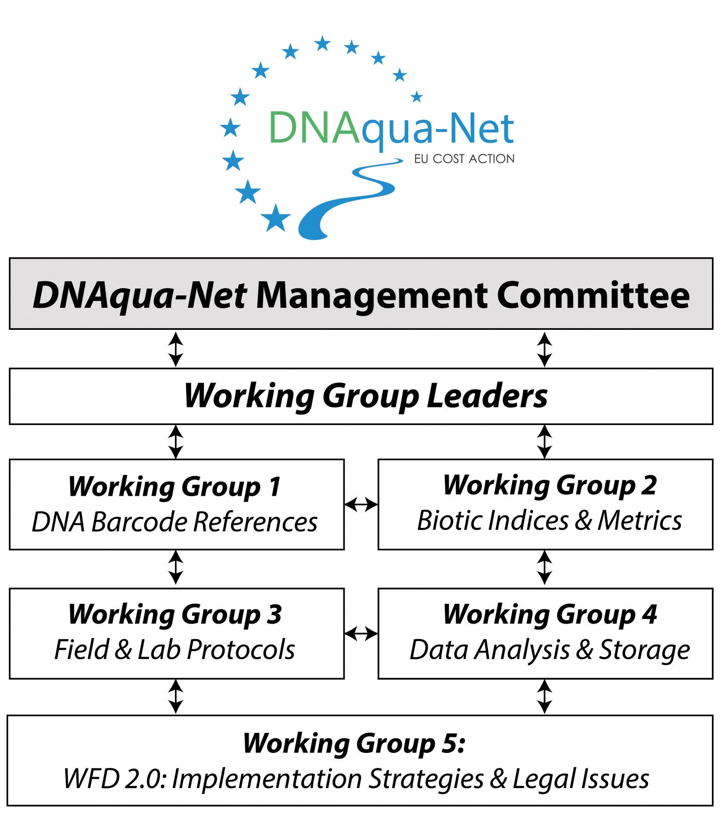 Overview of the Structure of DNAqua-Net