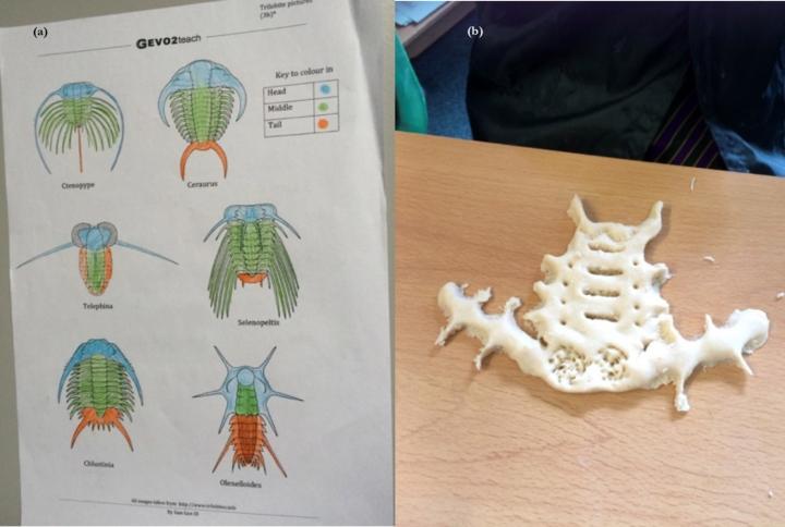 Salt dough trilobites