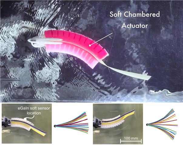 soft chambered Actuator