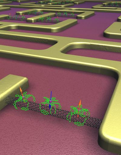 'Self-organization' of Nano-devices