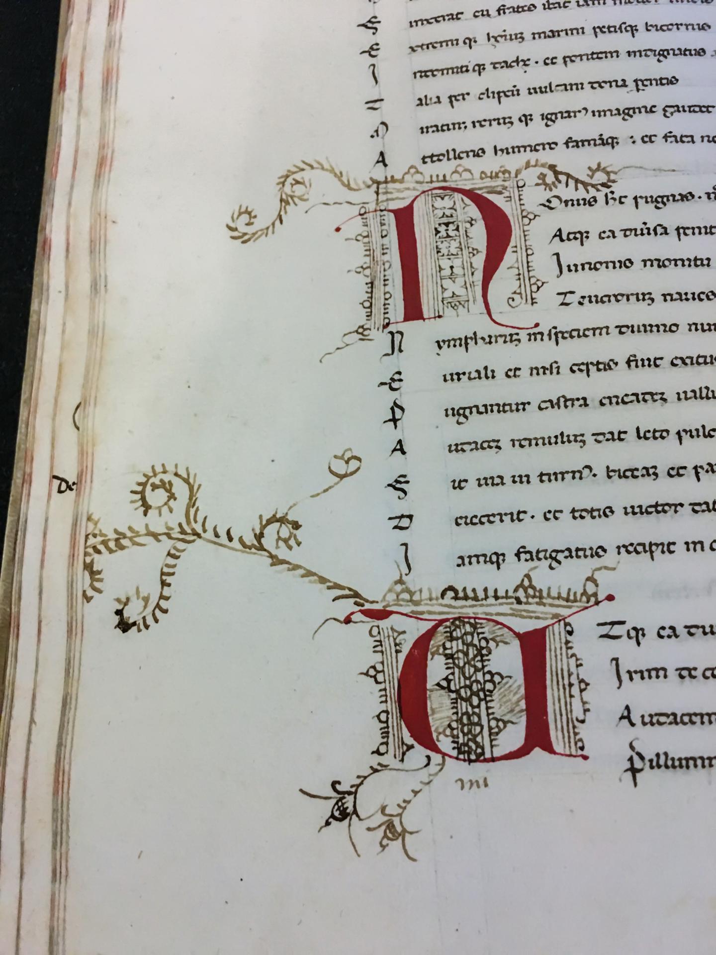 Medieval Manuscripts 3
