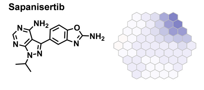 Sapanisertib effects on parasite metabolism