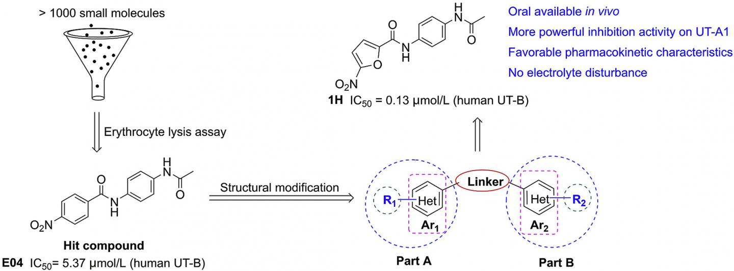 novel urea transporters (UT) inhibitor with a diarylamide scaffold