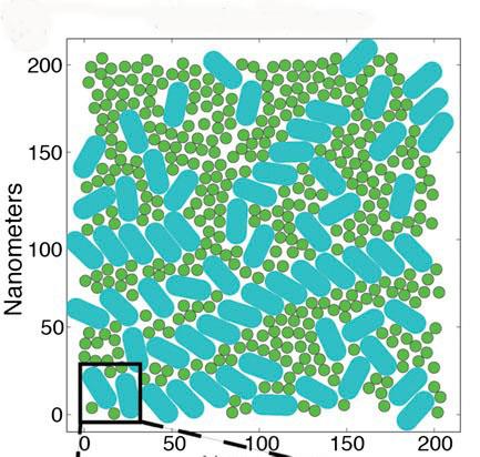 Computational Model of Photosystem II