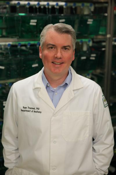 Dr. Ryan Thummel, Wayne State University