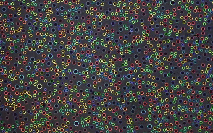 Water Droplets Reflect Color