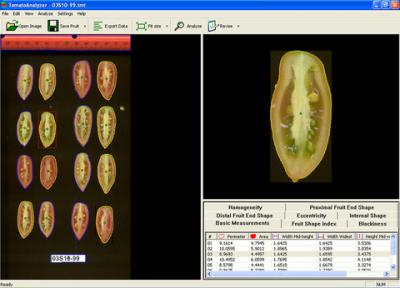 New and Improved Tomato Analyzer