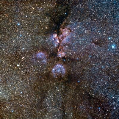 VISTA's Infrared View of the Cat's Paw Nebula