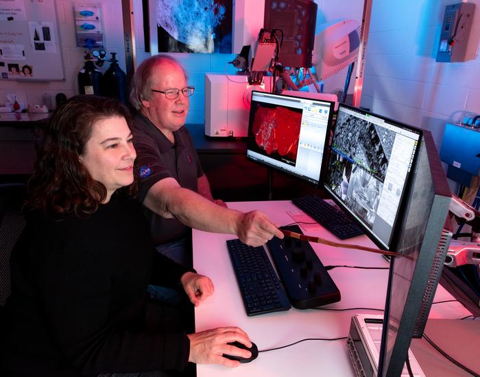 Smithsonian scientists examining scanning electron microscope images of a Bennu sample