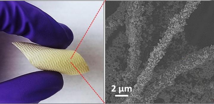 New Fabric Coating Could Thwart Chemical Weapons, Save Lives